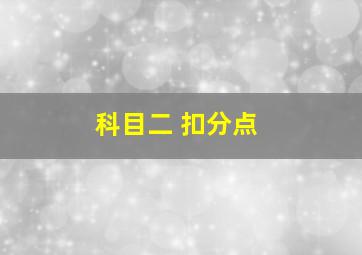 科目二 扣分点